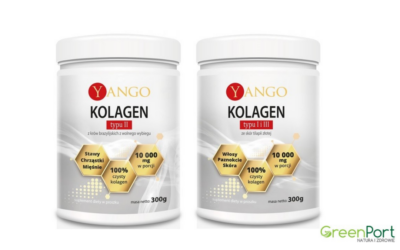 Yango kolagen typu II oraz Yango kolagen typu I i III